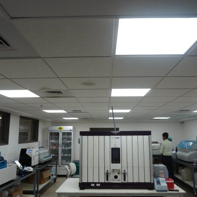 WhatsApp Image 2025-11-11 at 1.35.10 PM (3)